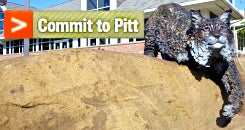 Pittsburgh university admissions requirements